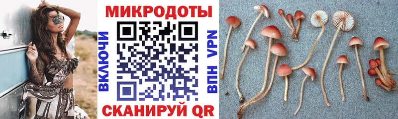 Псилоцибиновые грибы Psilocybe  blacksprut   Щигры  наркотики 